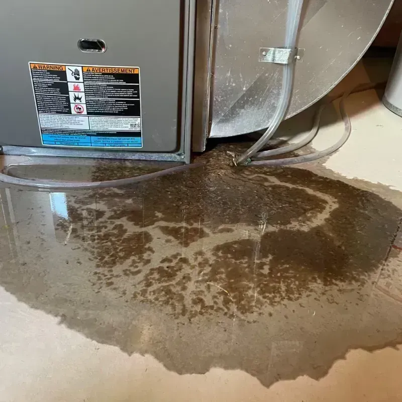 Appliance Leak Cleanup in Houston, PA